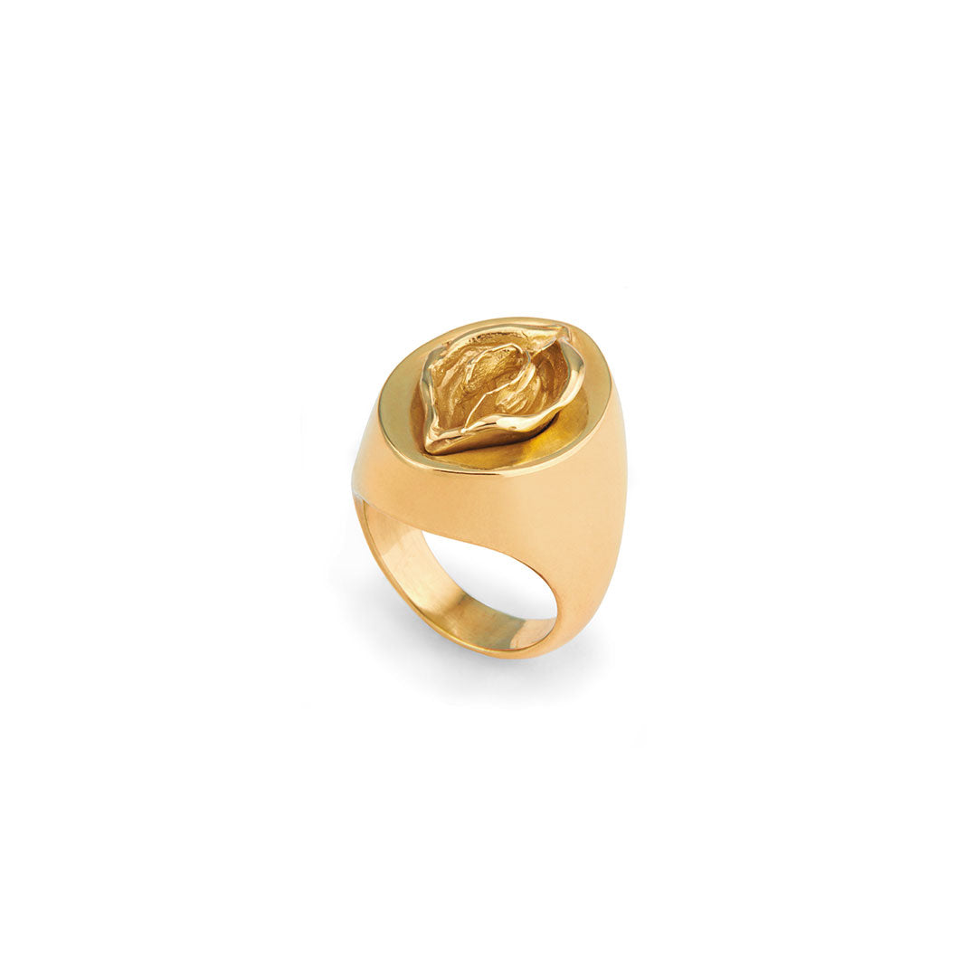 Sterling silver and 18k gold ring of an abstract vulva