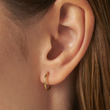 Argola Earring 18k Gold