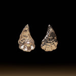 Asymmetrical large oyster earring in sterling silver and pearl