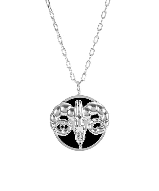 Aries sign necklace in sterling silver