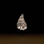 Oyster pendant in sterling silver with pearl
