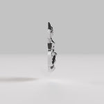Video of Paola Vilas 3D sculpture of the Capricorn sign