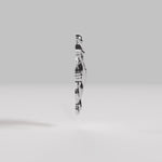 Video of Paola Vilas 3D sculpture of the  Leo sign