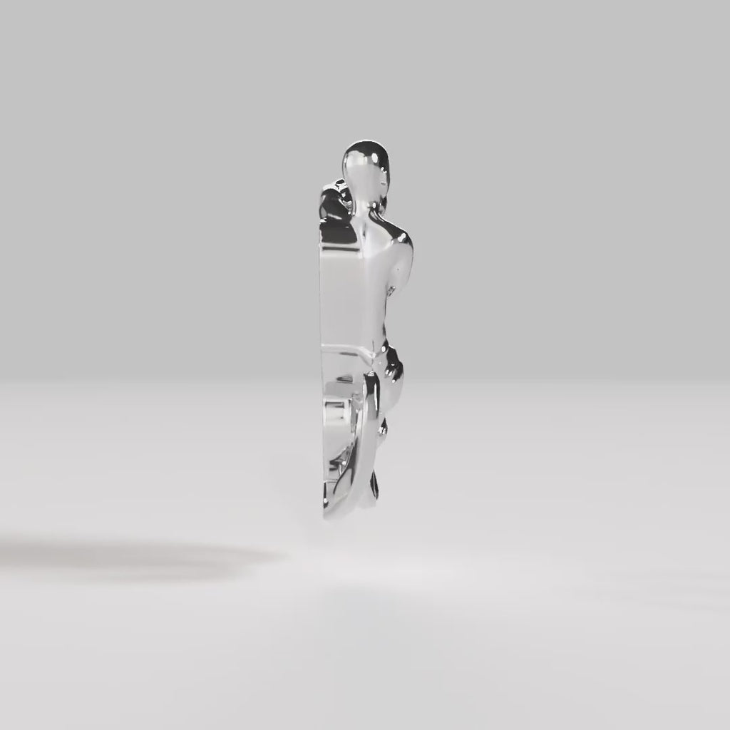 Video of Paola Vilas 3D sculpture of the Pisces sign